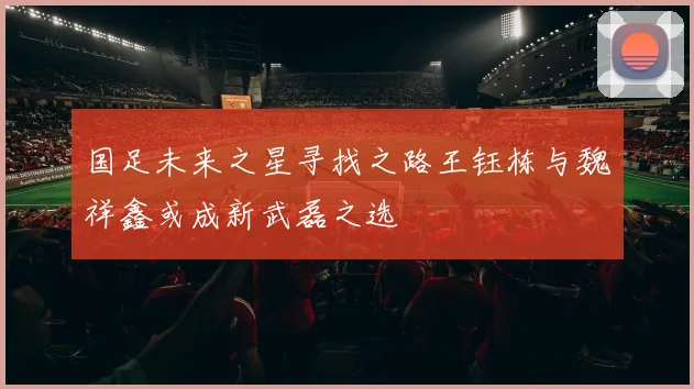 国足未来之星寻找之路王钰栋与魏祥鑫或成新武磊之选