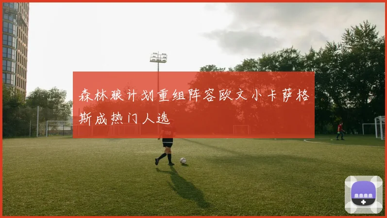 森林狼计划重组阵容欧文小卡萨格斯成热门人选